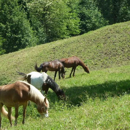 La Fattoria Al Crocefisso Pieve Fosciana