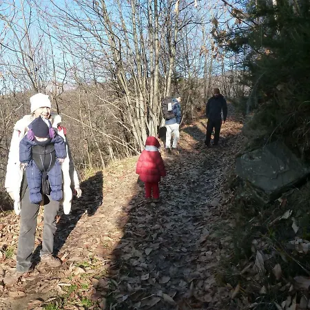La Fattoria Al Crocefisso * Pieve Fosciana